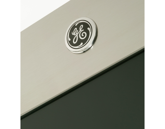 11758989-1-M-GE-WB56X26003- DOOR Assembly