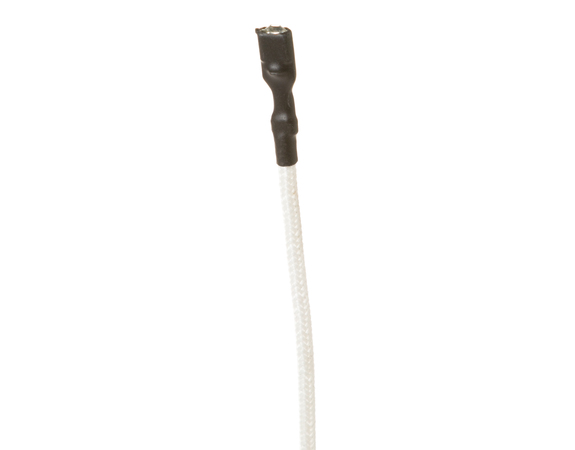 11762478-1-M-GE-WB18X26989-Top Spark Electrode