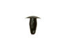 11763147-2-S-GE-WE1X21775-BUTTON BEATUY