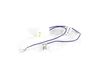 11766099-2-S-Frigidaire-5304505258-HARNESS