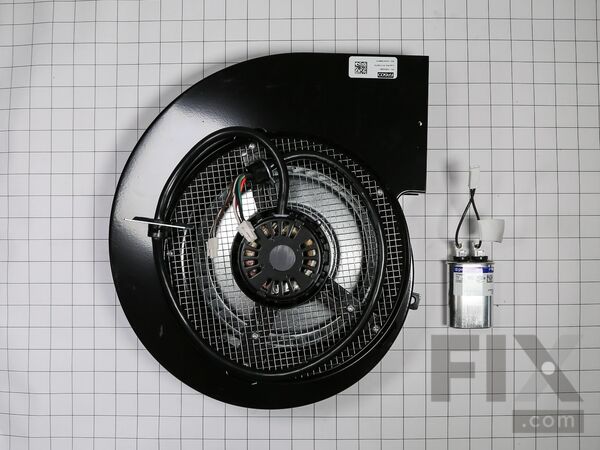 11770168-1-M-Whirlpool-W10921431-Motor Blower