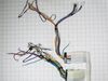 Wire Harness – Part Number: W11027902