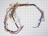 Wire Harness – Part Number: W11033849