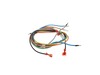 11773774-3-S-GE-WB18X25698-Range Harness Wire Burner
