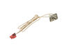 11773787-2-S-GE-WB18X25985-MEAT PROBE RCPTK W/ HARN