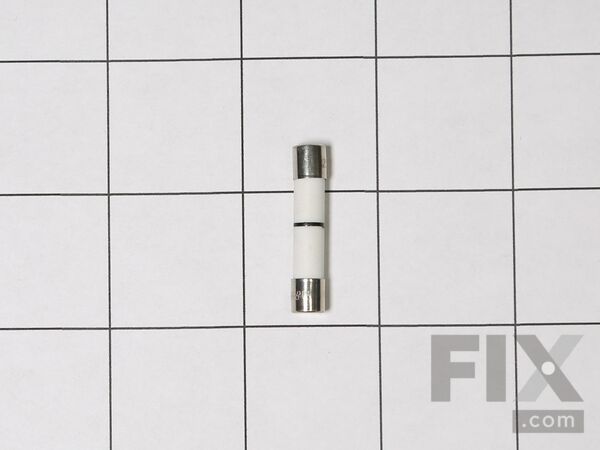 11773885-1-M-GE-WB27X25389-FUSE
