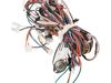 HARNESS – Part Number: WE15X23863