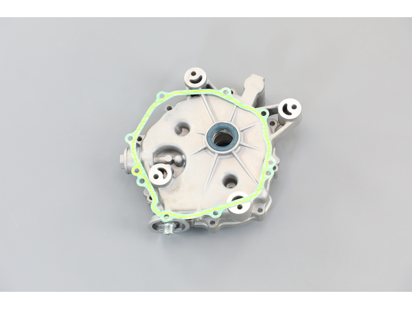 11813476-1-M-MTD-951-12318A-Crankcase Cover Assembly
