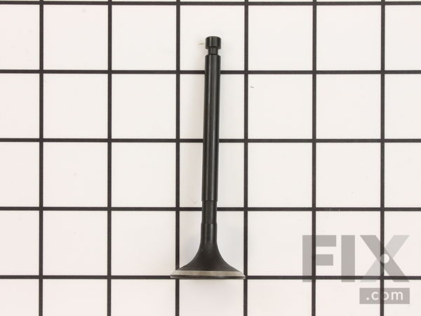 11816494-1-M-Kohler-6301601-S-Valve: Exhaust