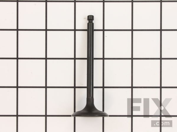 11816495-1-M-Kohler-6301701-S-Valve: Intake