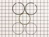 Ring Set (std) – Part Number: 6310801-S