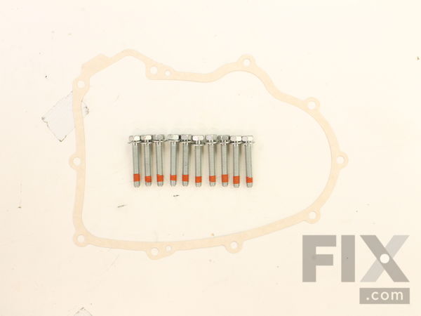 11829358-1-M-Briggs and Stratton-594195-Crankcase Gasket With Bolts