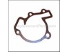 Gasket-Water Pump – Part Number: 110602097