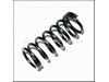 Spring – Part Number: 50000656