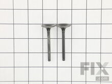 Valve – Part Number: 12110-Z810110-0099
