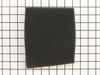 Wet Use Foam Filter – Part Number: 901520001