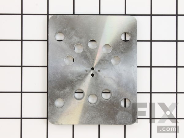 11865247-1-M-Ridgid-079027013152-Valve Plate