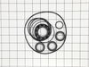 Oil Seal Kit – Part Number: 39718