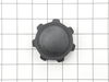 11872125-1-S-Powermate-0064479SRV-Cap- Fuel