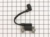 Module, Ignition – Part Number: A202478