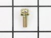 Screw Assembly M5X16 (W,SW) – Part Number: 004-36051-60