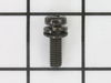 Screw and Washer Assembly – Part Number: 013-10600-30