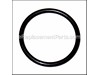 O-Ring – Part Number: 314-878