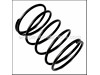 Spring (A) – Part Number: 981-957