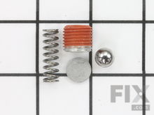 Check Valve Kit – Part Number: N365762