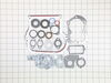 Gasket Set – Part Number: 495603
