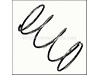 Spring (Ar1560520) – Part Number: PM344552SV