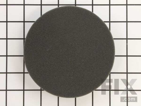 12029208-1-M-Eureka-68465-Foam Filter