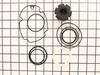 Rebuild Kit – Part Number: GRRBK1100