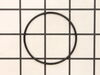 O-ring – Part Number: GRTN2320