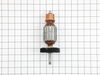 Armature Compl.,120 V – Part Number: 310009730