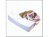 Cap & Switch Assy. (white) – Part Number: 501532