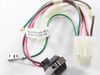 12070569-2-S-Whirlpool-W11084324-Wire Harness
