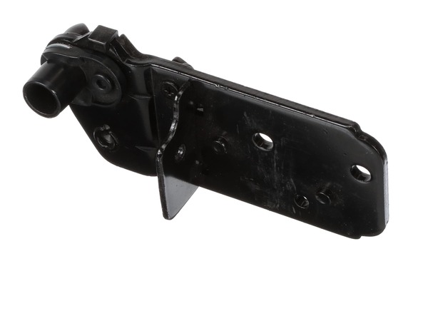 12078325-1-M-LG-AEH75176303-HINGE ASSEMBLY,LOWER