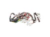 Main Wire Harness – Part Number: DD81-02095A