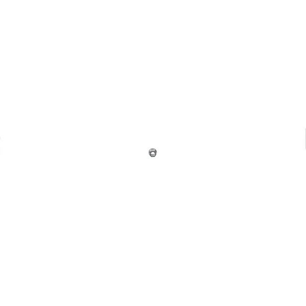 12089581-1-M-Echo-V265000550-Nut 8