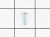 Screw – Part Number: 039143013001