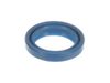 Dust Seal – Part Number: JHS1100-89