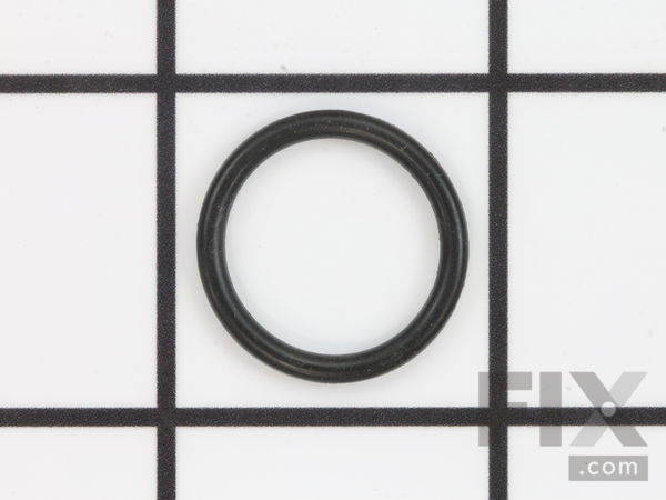 12099243-1-M-Wagner-9871013-O-Ring