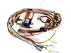 Timer and Wire Harness Assembly – Part Number: W11126037