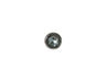 12171025-3-S-GE-WE01X24720-SCR 30 X 20 IA PP