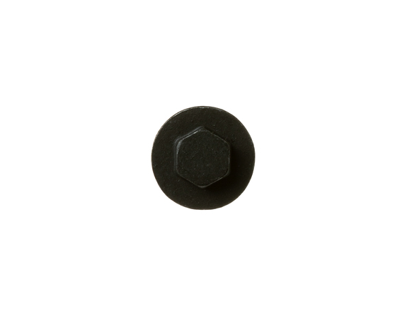 12172029-1-M-GE-WP01X20878-Screw