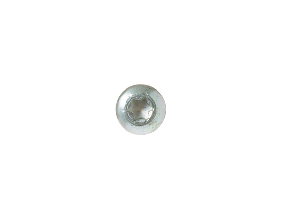 12172271-1-M-GE-WR01X21024-SCREW 1/4-20 TT BHT .87