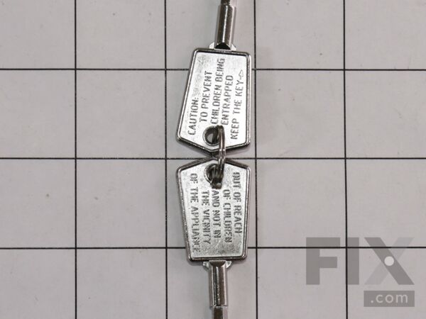 12172397-1-M-GE-WR01X28053-DOOR KEY