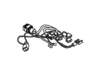 12172831-1-S-GE-WR23X25746-HARNESS FF LOWER