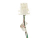 12172960-2-S-GE-WR55X28079-CAFE SECONDARY GROUND HARNESS